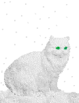 a_snowcat.gif